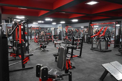 عکس باشگاه ورزشی توحید