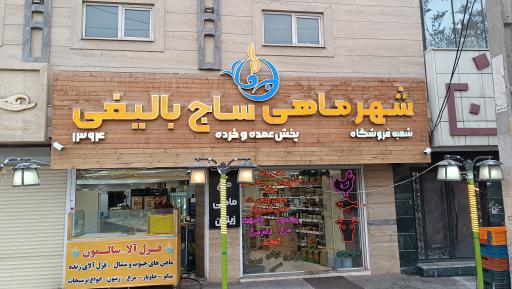 عکس شهرماهی ساج بالیغی