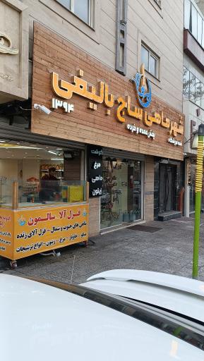 عکس شهرماهی ساج بالیغی