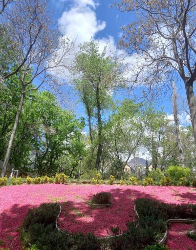 عکس بوستان شهید باهنر