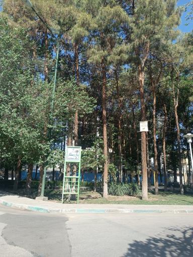 عکس پارک باغ رستگار