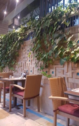 عکس فست فود صوفی