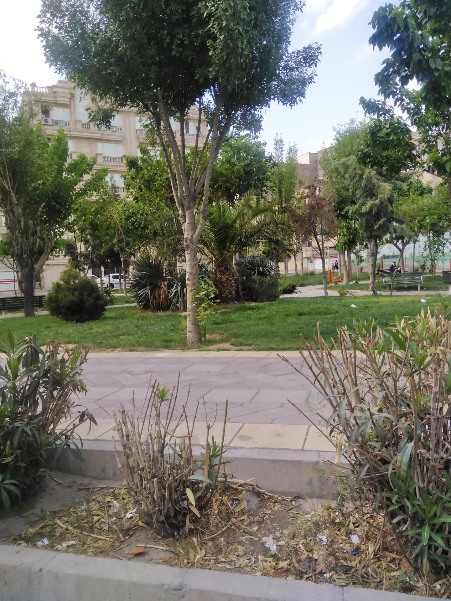 عکس پارک بدون دخانیات