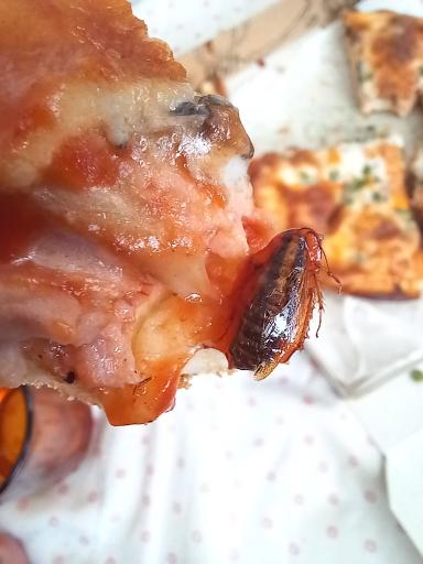 عکس فست فود بی بی جون