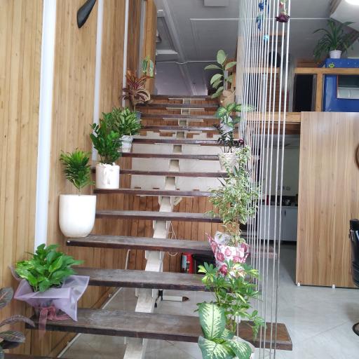 عکس پیرایش مکعب