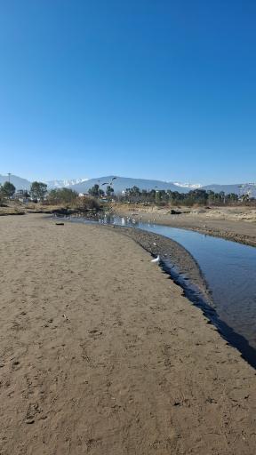 عکس ساحل نوشهر