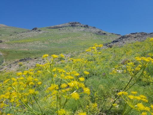 عکس قله لزون شرقی