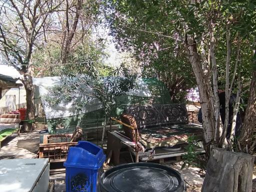 عکس قهوه باغ عقیل