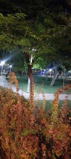 عکس بوستان پردیس قائم