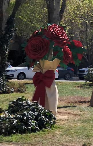 عکس بوستان ملت