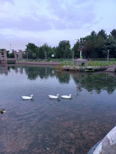 عکس بوستان پردیس قائم