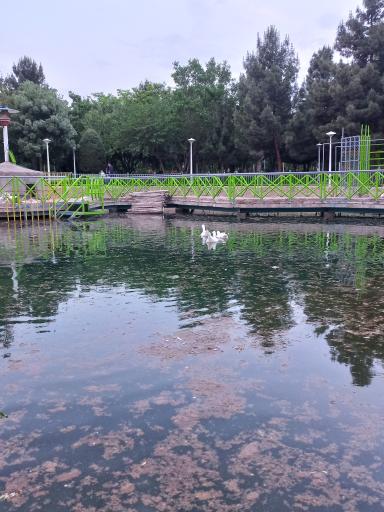 عکس بوستان پردیس قائم