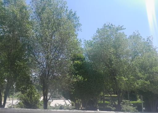 عکس بوستان ملت