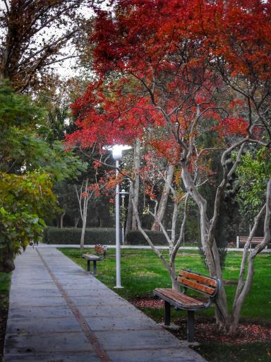 عکس بوستان ملت