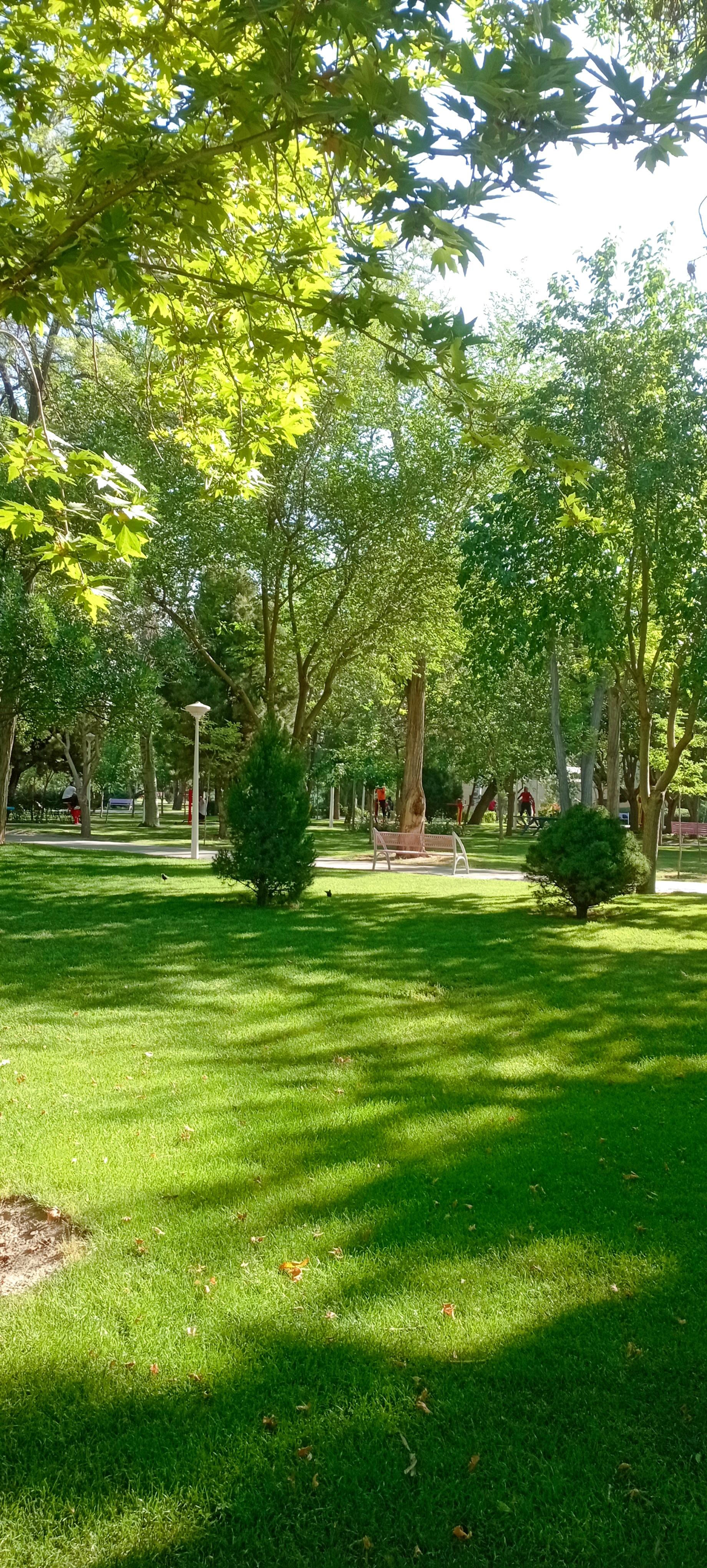 عکس بوستان پردیس قائم
