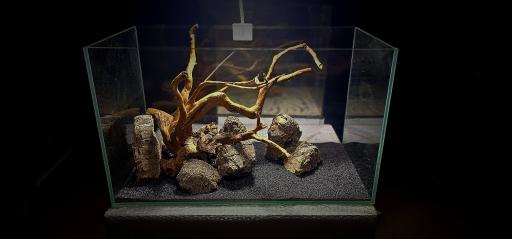 عکس آسیا آکواریم