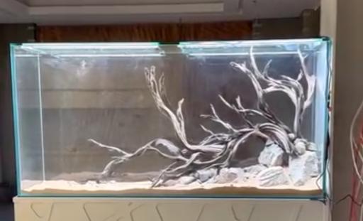 عکس آسیا آکواریم