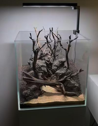 عکس آسیا آکواریم