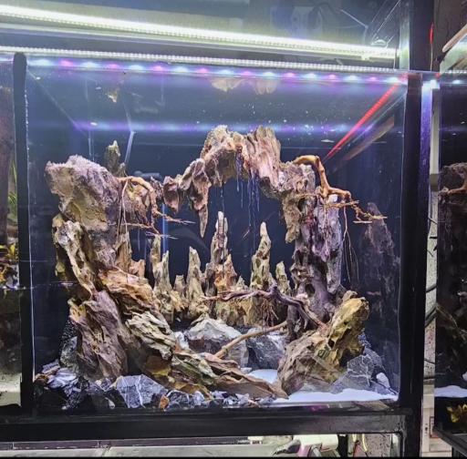 عکس آسیا آکواریم