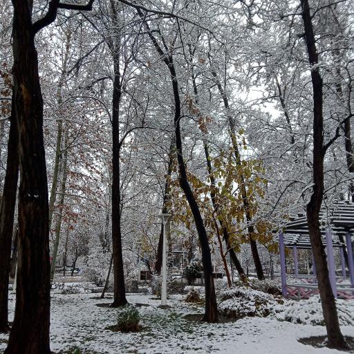 عکس بوستان پردیس قائم