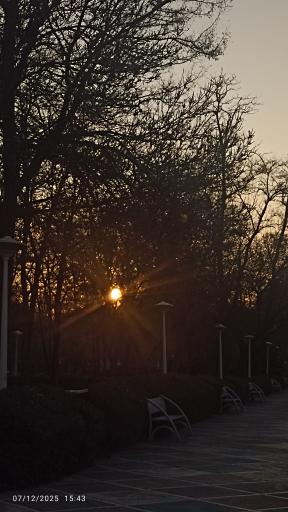 عکس بوستان پردیس قائم