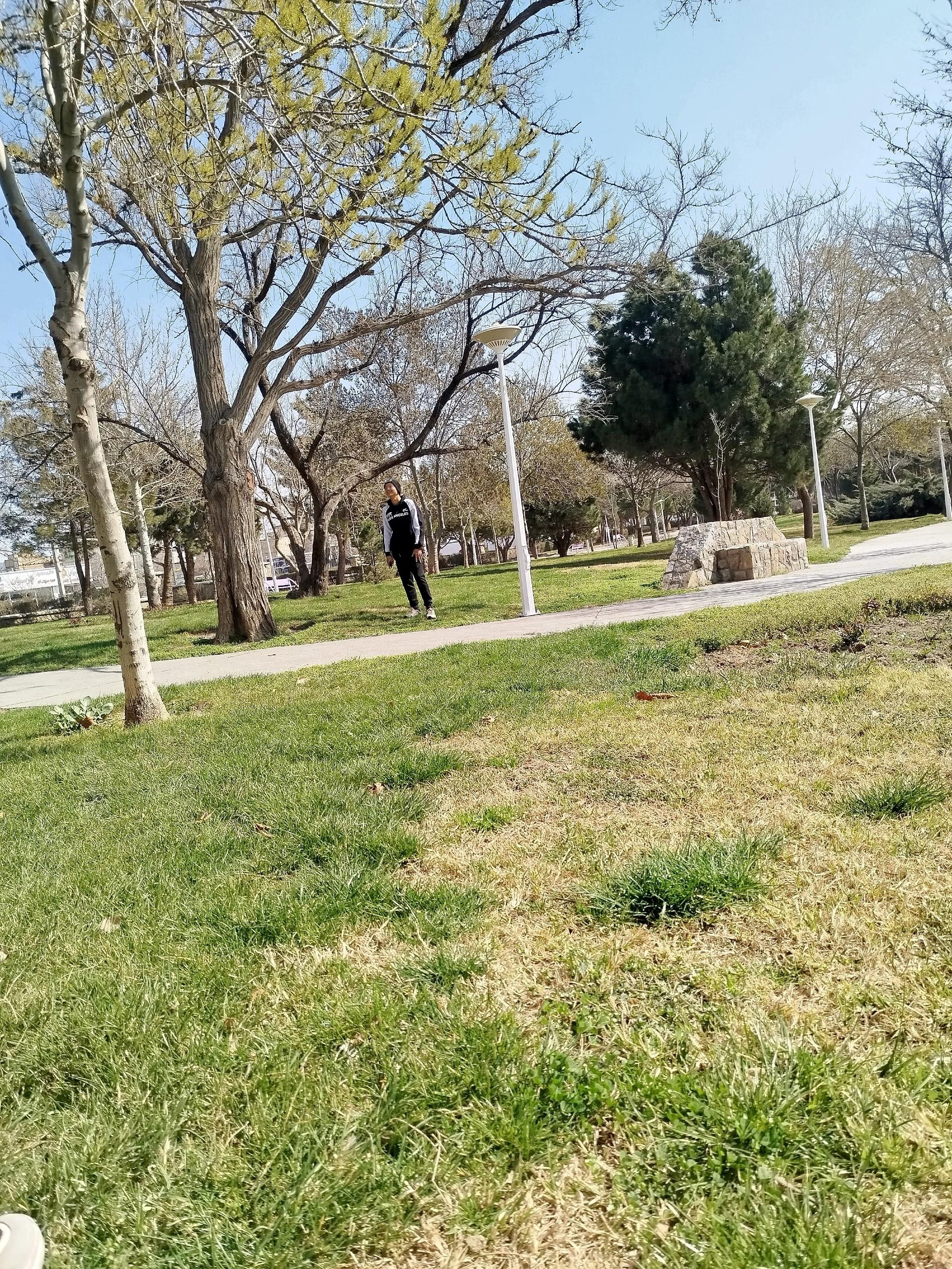عکس بوستان پردیس قائم