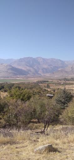 عکس میان راهان