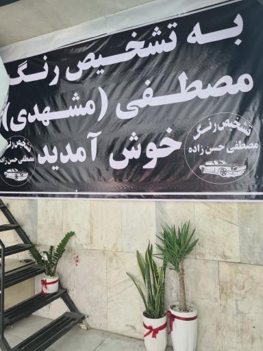 عکس تشخیص رنگ مصطفی حسن زاده