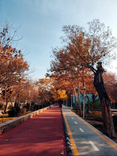 عکس بوستان ملت