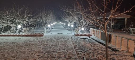 عکس باغ نمازی