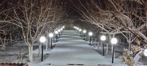 عکس باغ نمازی