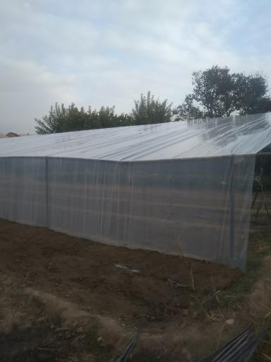 عکس گلخانه عبدالملکی