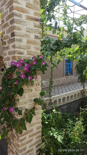 عکس اقامتگاه بومگردی سرای مهر افین