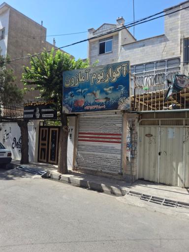 عکس آکواریوم آمازون