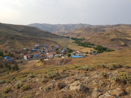 عکس جعفرلو