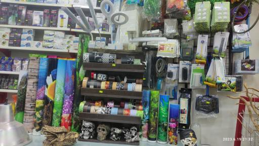 عکس آکواریوم آمازون