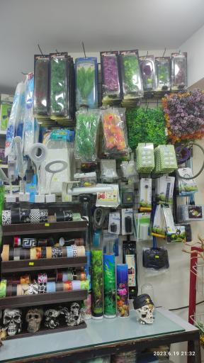 عکس آکواریوم آمازون