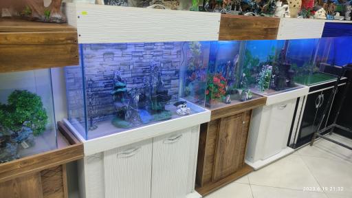 عکس آکواریوم آمازون