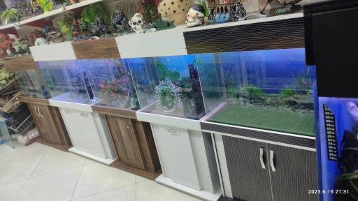 عکس آکواریوم آمازون