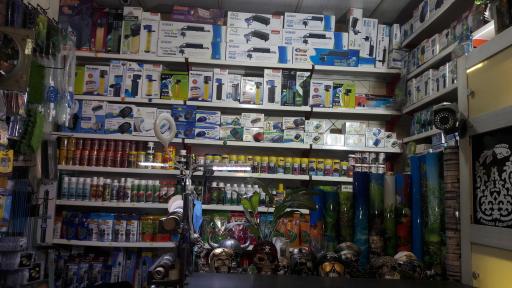 عکس آکواریوم آمازون