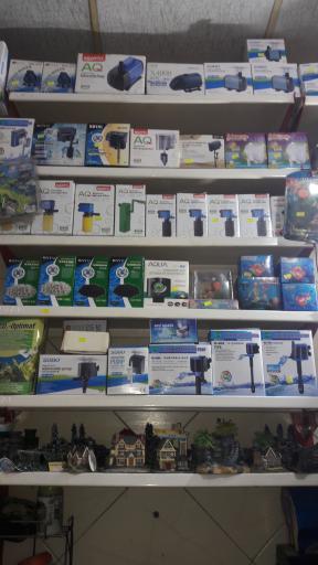 عکس آکواریوم آمازون