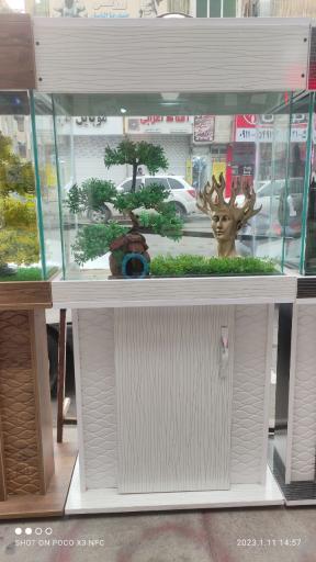 عکس آکواریوم آمازون