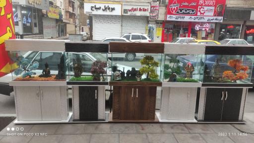 عکس آکواریوم آمازون