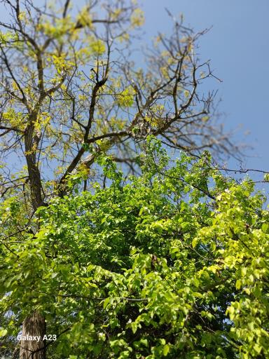 عکس شهر خرو نیشابور