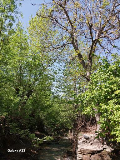 عکس شهر خرو نیشابور