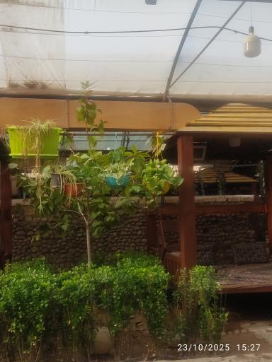 عکس باغ رستوران سنتی شبستان