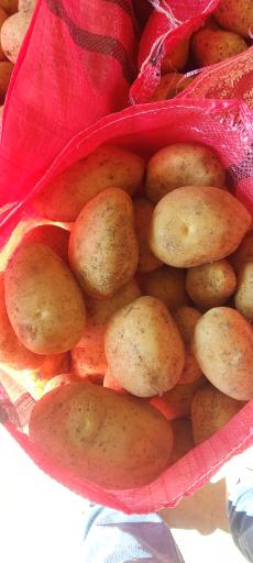 عکس سردخانه آریا فرادنبه