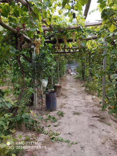 عکس رستوران ارسطو 