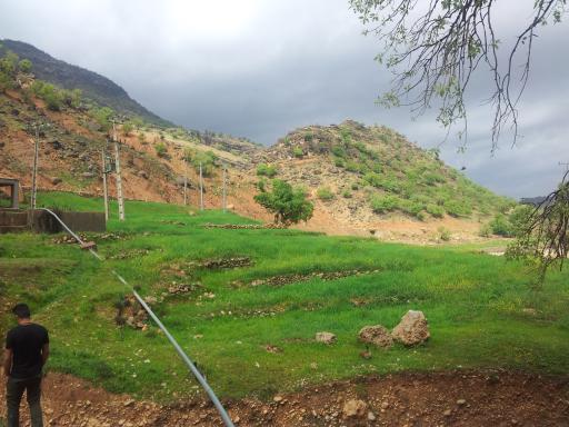 عکس چم لپه
