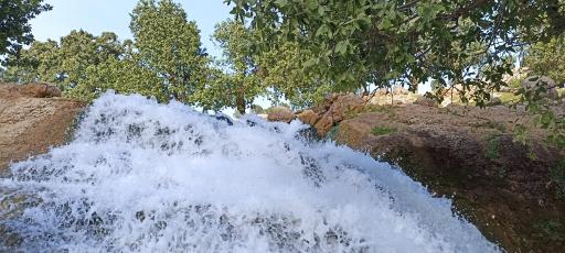 عکس چم لپه